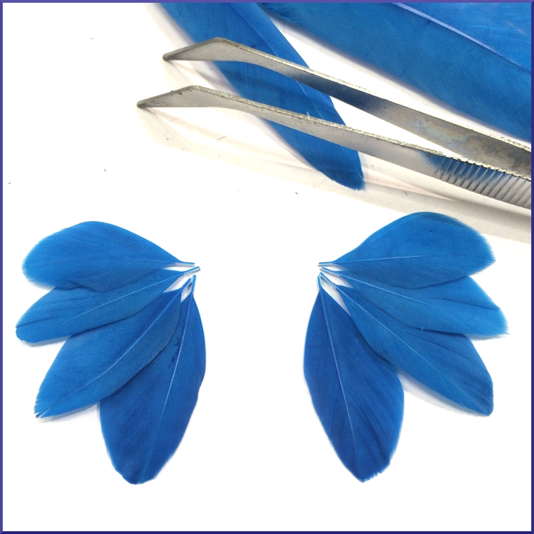 Mise en place des plumes