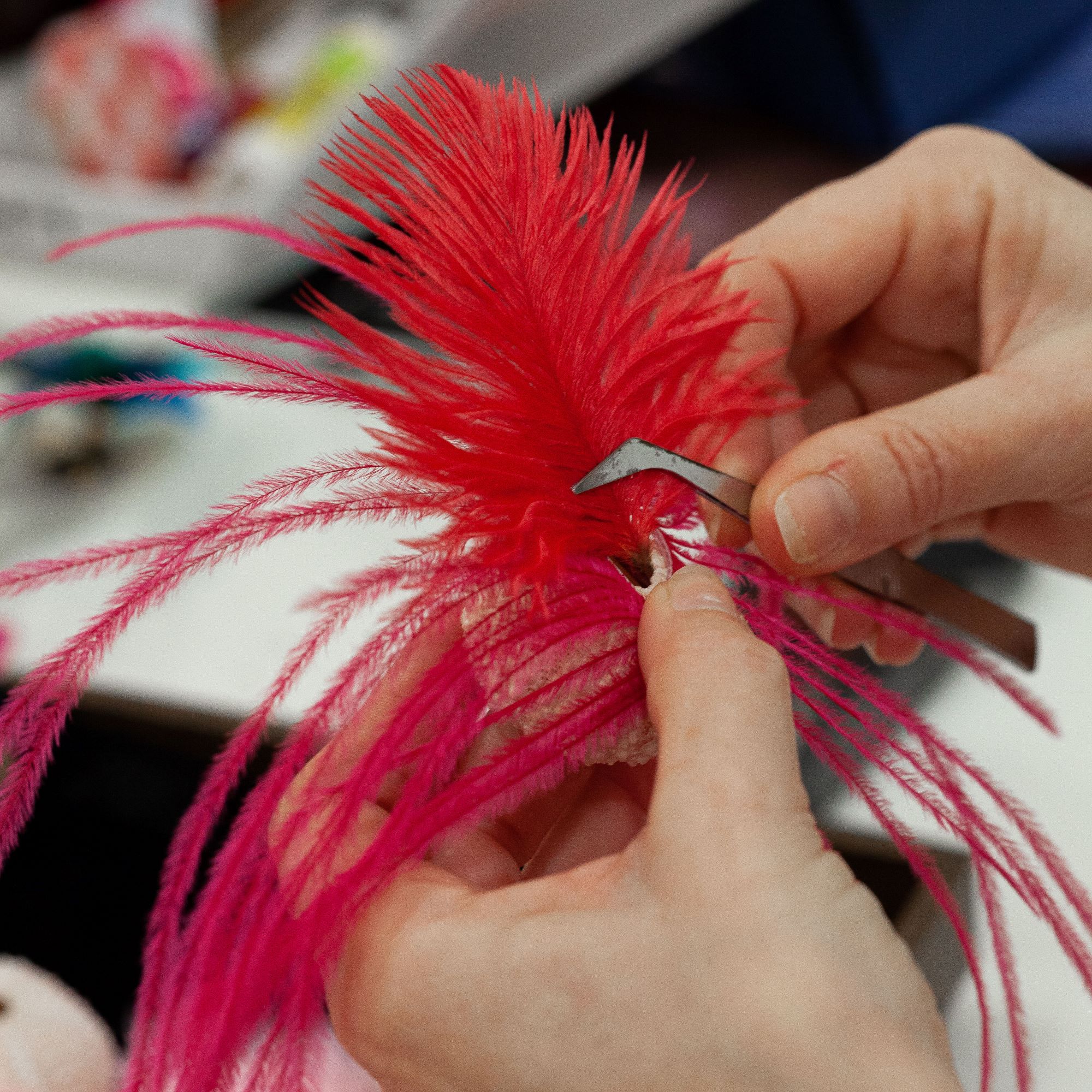 Travail sur une plume d'autruche