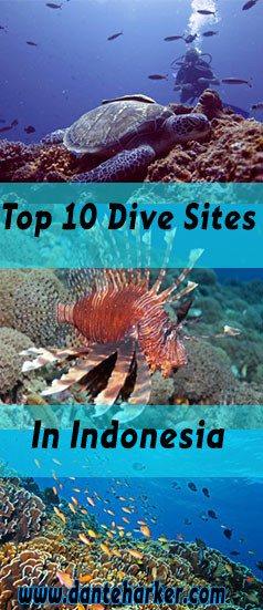 Top 10 Dive Sites in Indonesia from Dante Harker