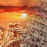 Erntedankfest am Shavuot