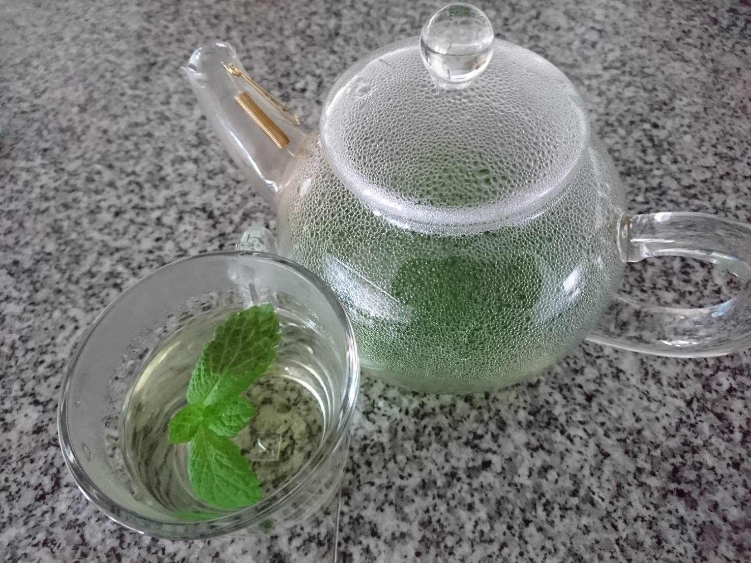 はっかと夏野菜で節電に協力！