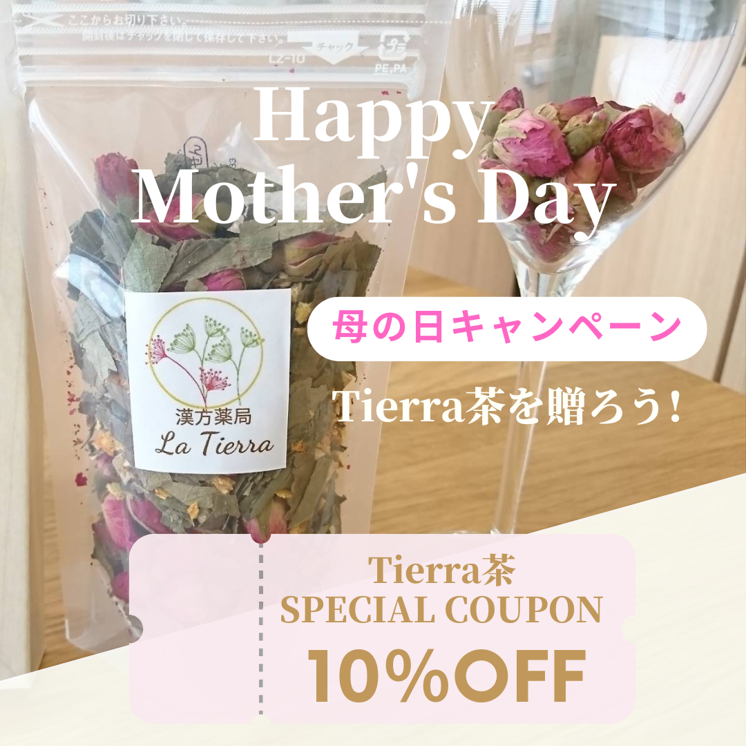 母の日キャンペーン・Tierra茶を贈ろう!