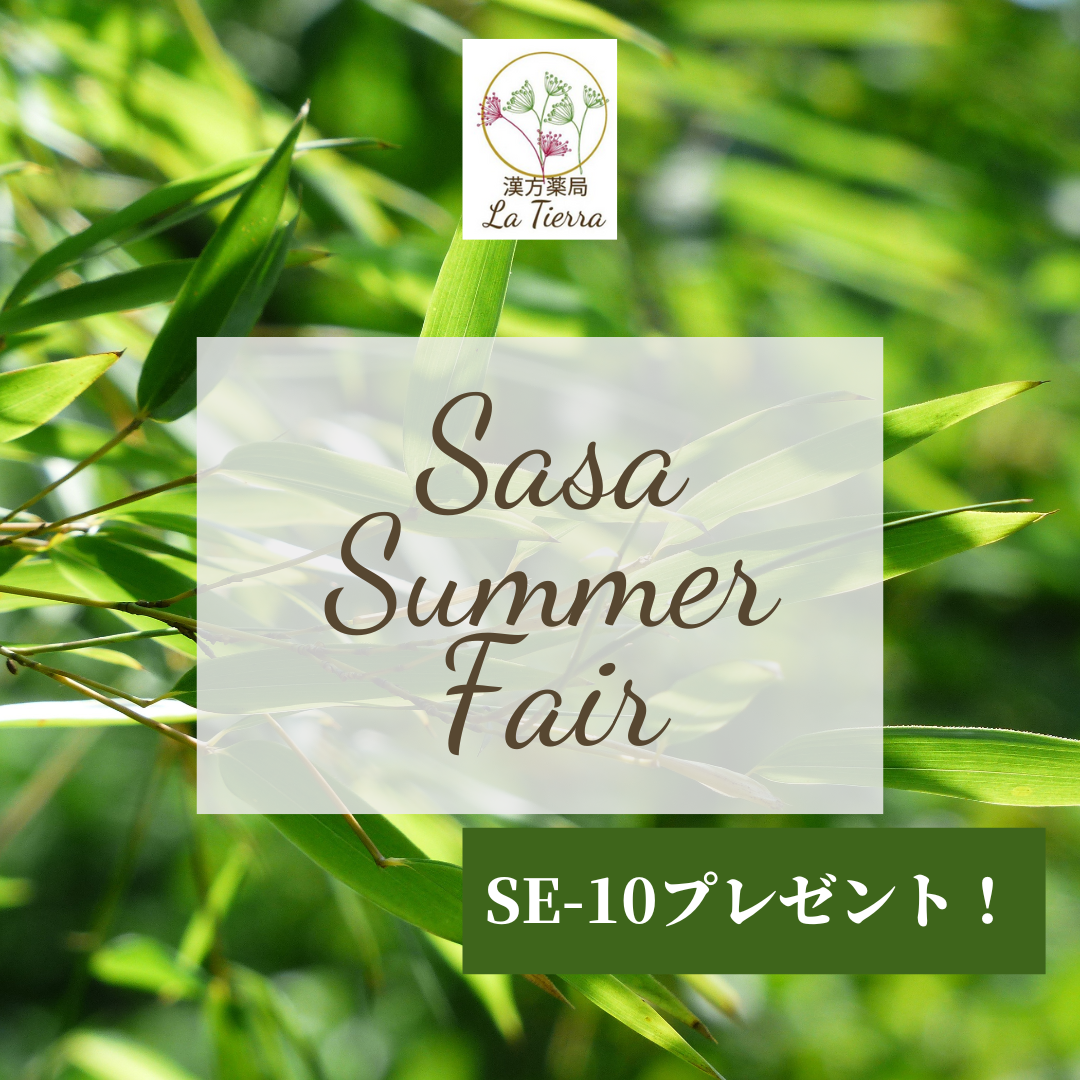 Sasa Summer Fair!! クマ笹パワーで夏を元氣に笑顔に!!