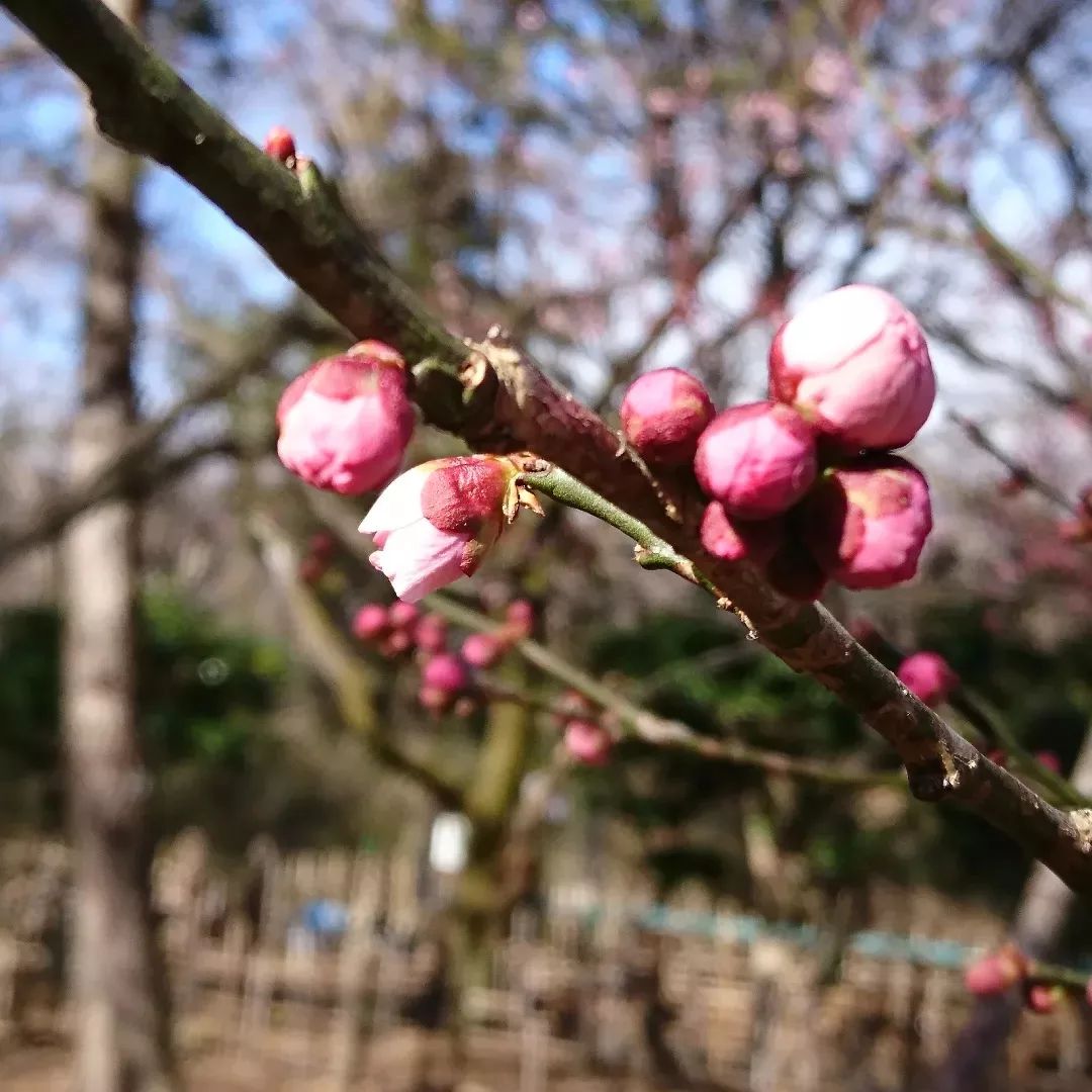 漢方カウンセリングでこころとからだのデトックス!!