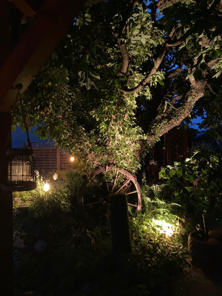 Abende im stilvollem Ambiente          ....................Bild 20/24