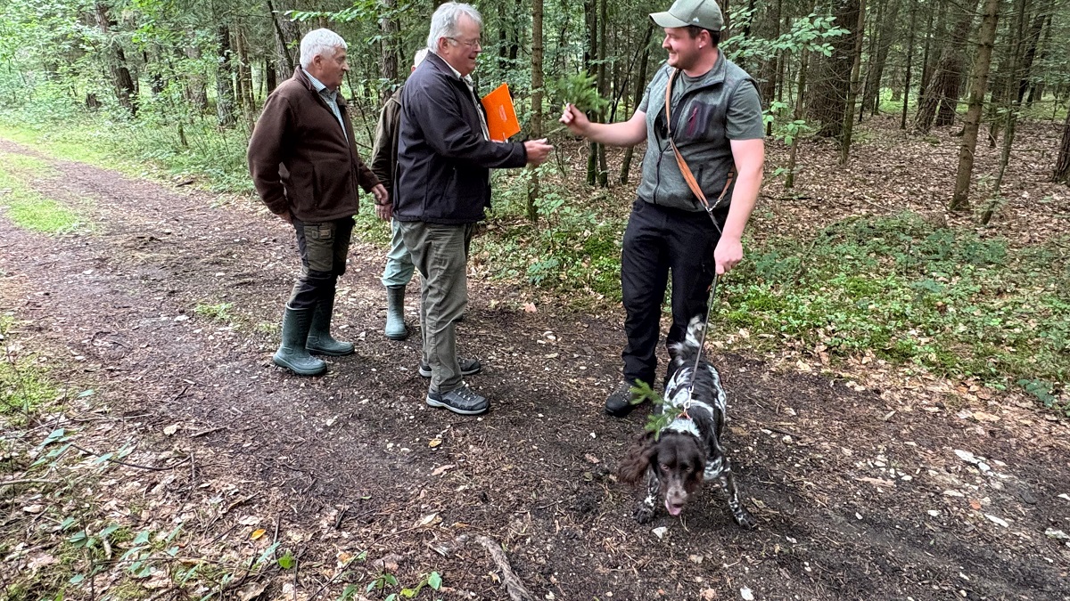 23./30.08.25: Erfolgreiche Brauchbarkeitsprüfung (Jagdhunde) für mehrere Gespanne