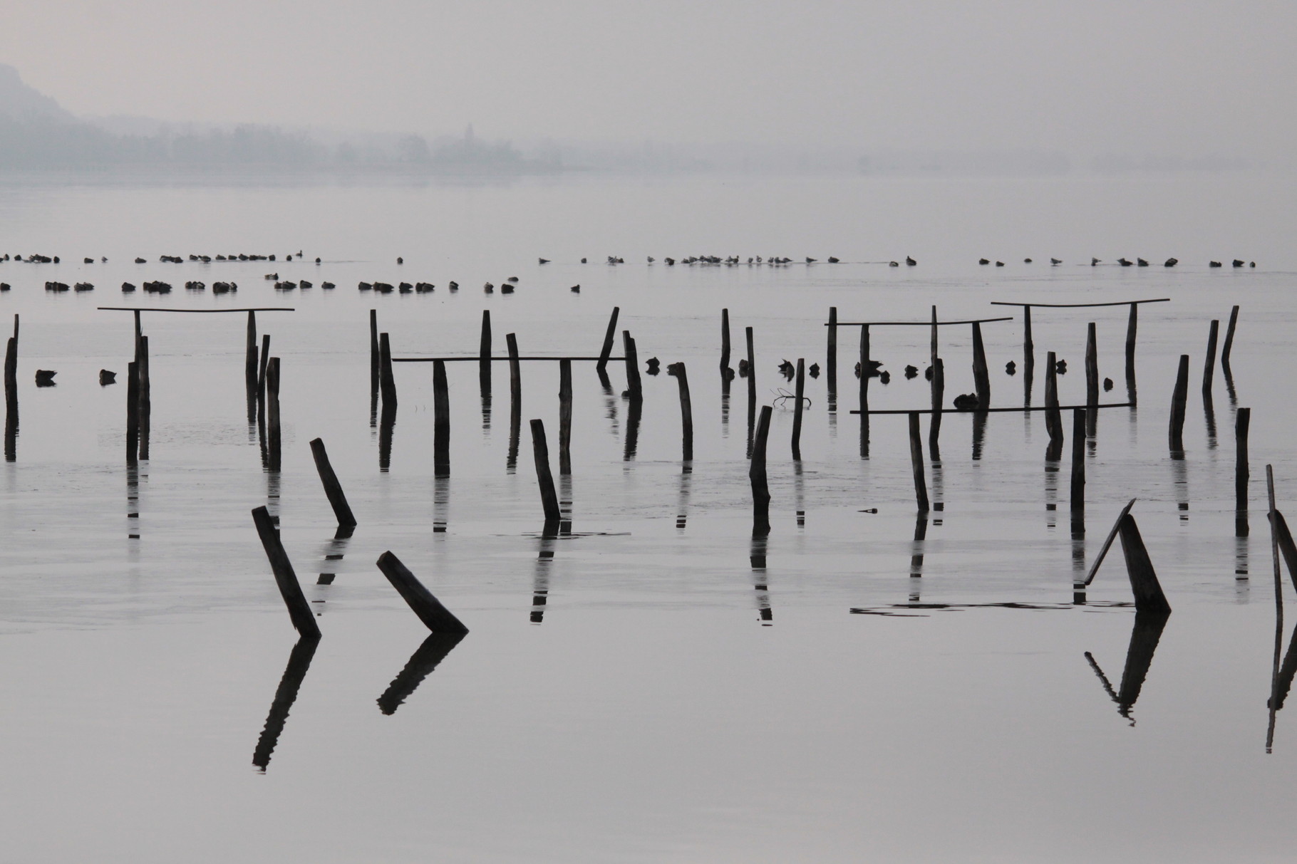 Bord de mer ? Non, lac de Neuchâtel