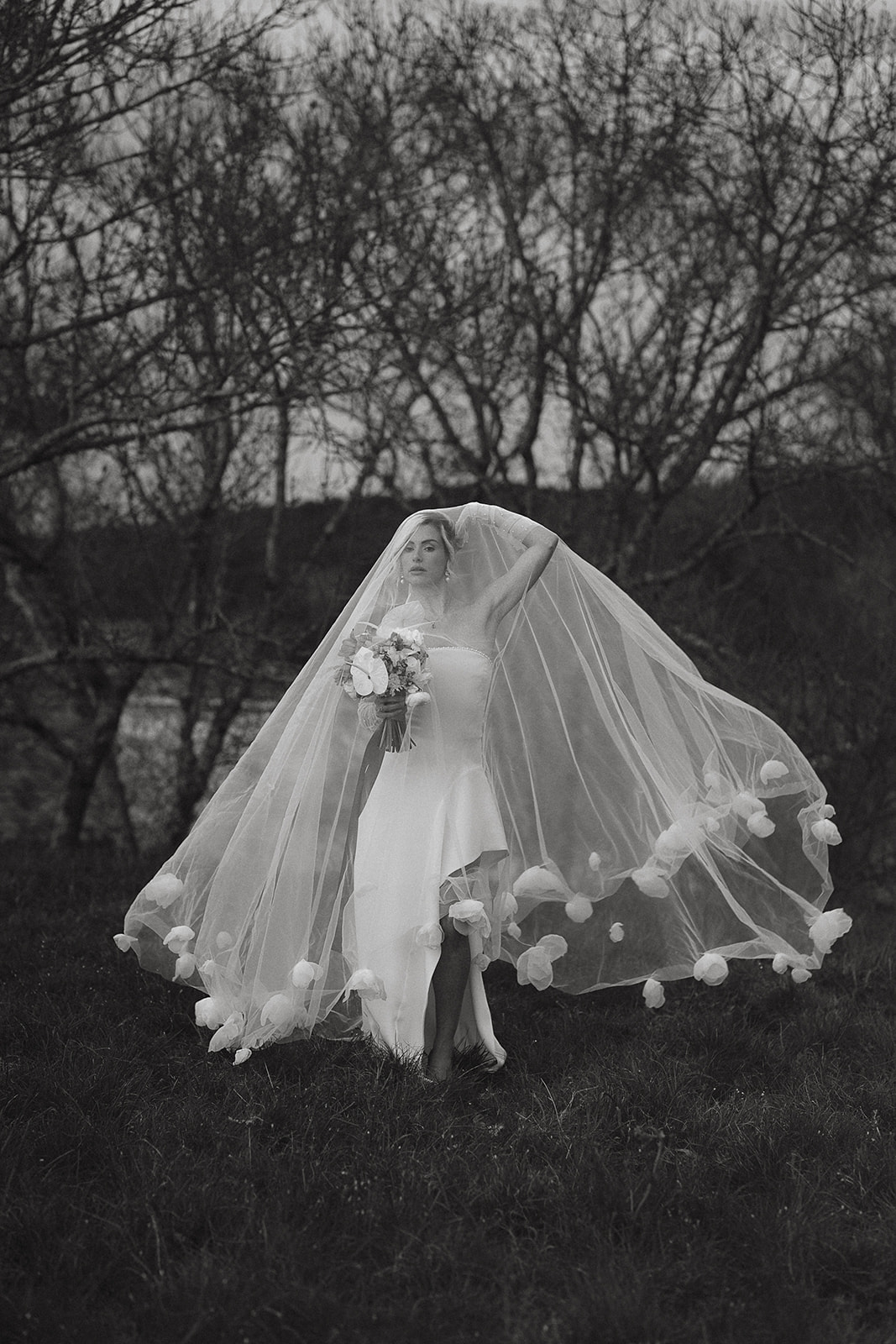 copyright Gabriella Feyer