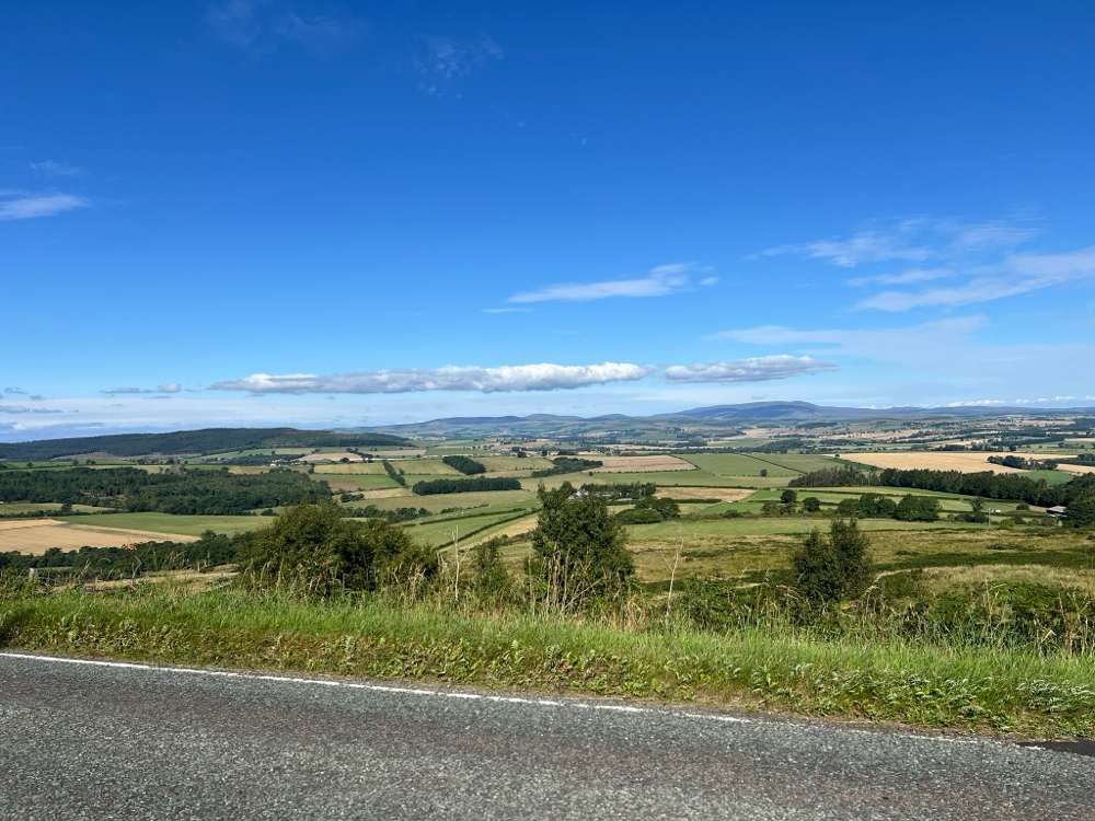 In the road…