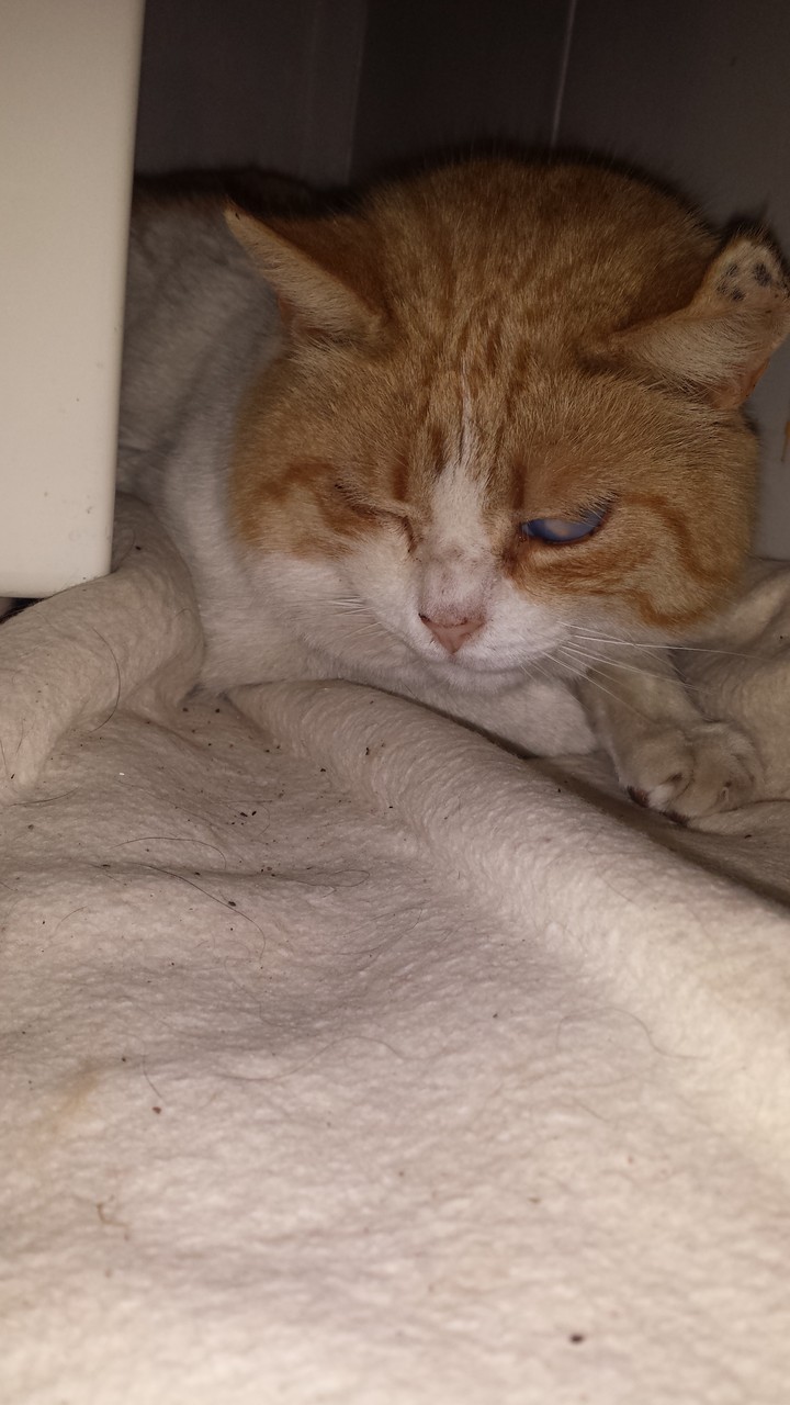 Simon antes de ser operado 