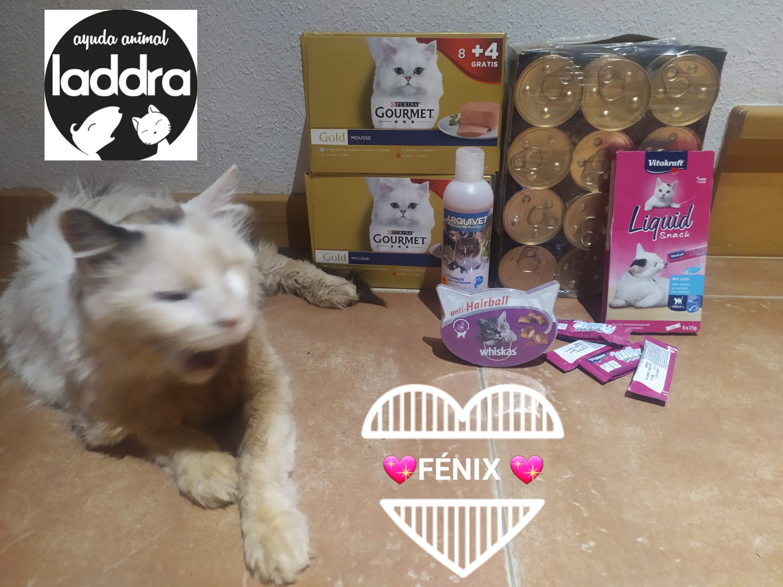 Donación para Fénix