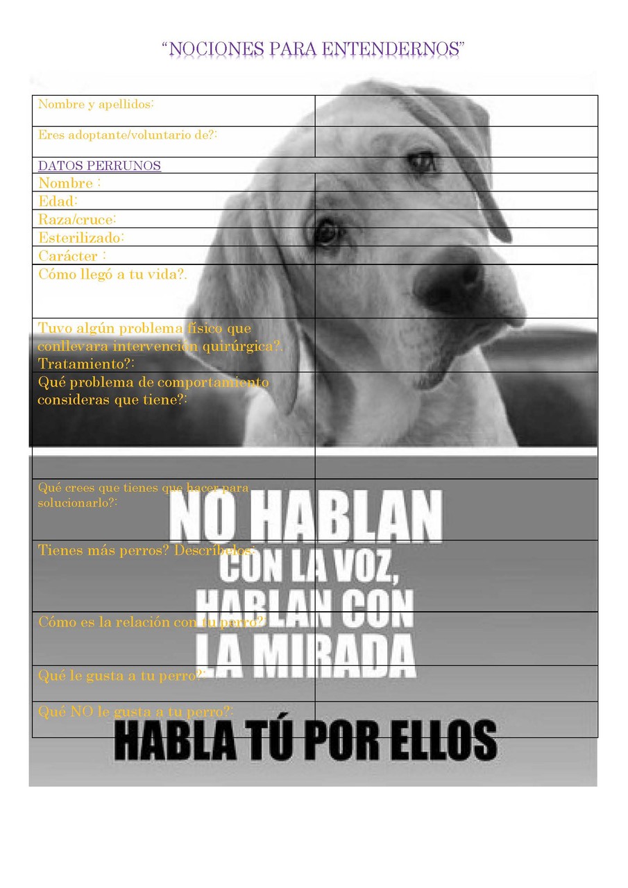 La ficha a rellenar por cada perro