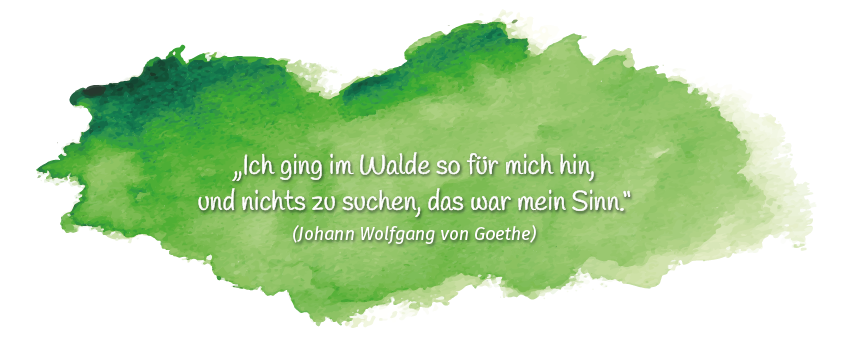 Kordula´s Waldbaden, Bad Pyrmont, Shinrin Yoku, Lügde, Hameln, Wald, eintauchen, Sinne, Gesundheit, Kordula Lensdorf