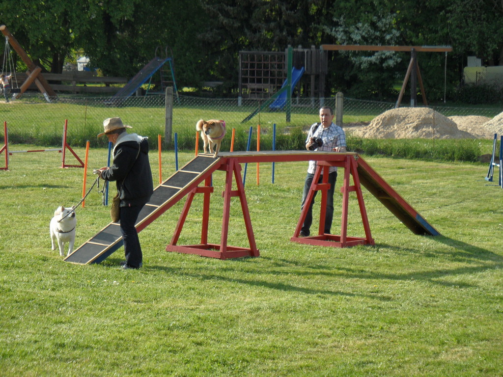 nutzen den Hundeplatz