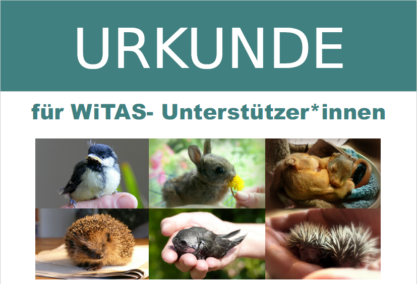 Von tollen Menschen und Firmen mit großem Herz für heimische Wildtiere