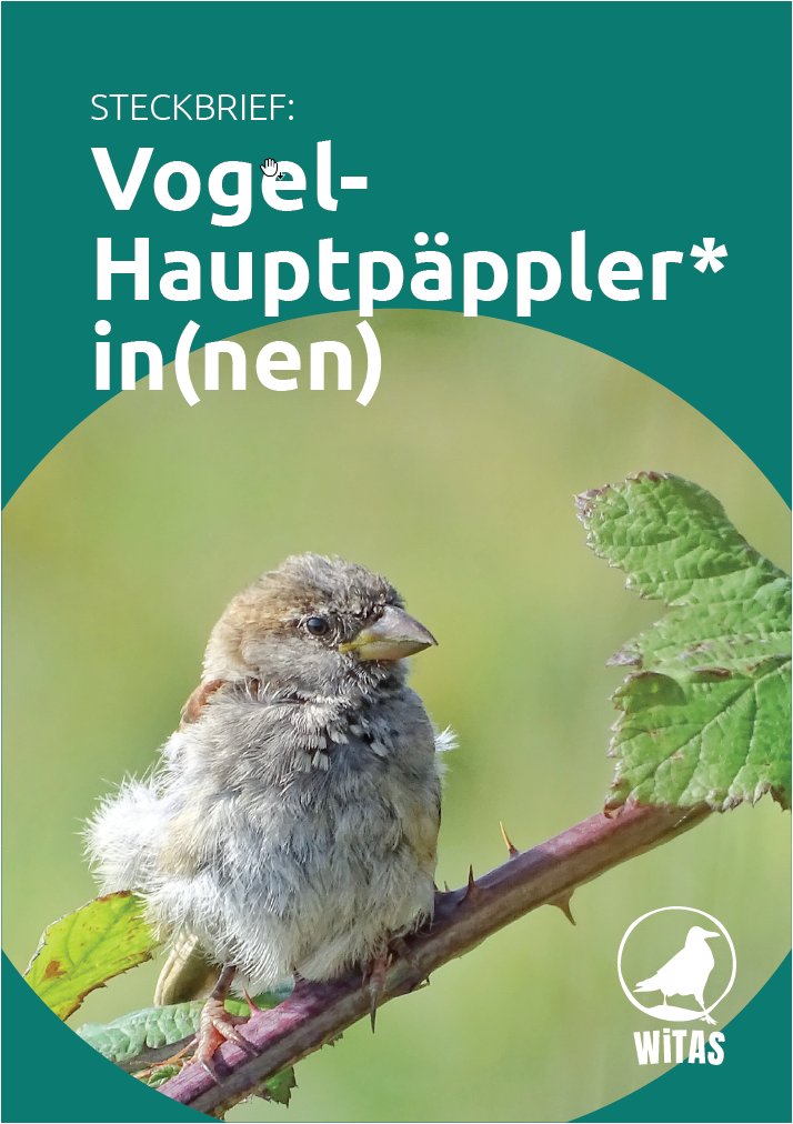 Vogel-Hauptpäppler*innen dringend gesucht!