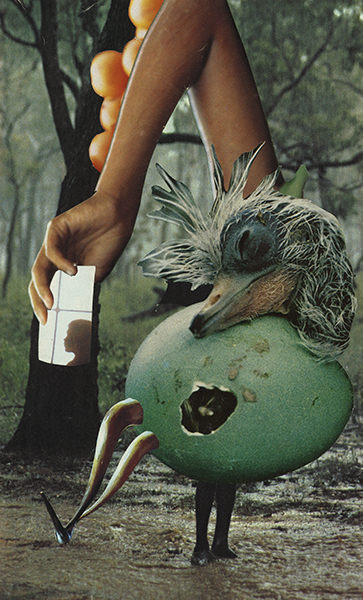 Hatching