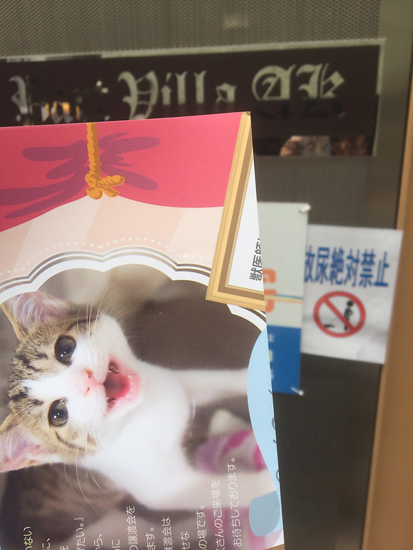 NPO法人 東京キャットガーディアン様のチラシをポスティング