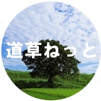 道草ねっと東三河