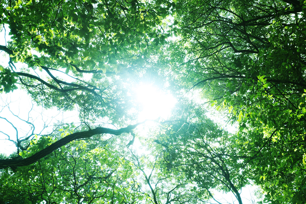 企業紹介 - 中小企業・地域のみなさんと共に・・・