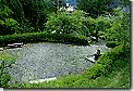 雨田公園