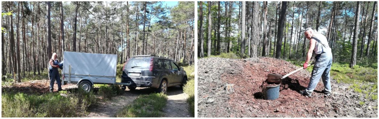 Bei einer von mehreren Rindenmulch-Touren in den Wald 