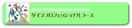 よかよか　スターズダイブプロフェッショナルコース