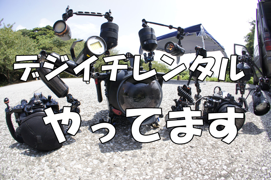 天草ダイビングでデジイチレンタル