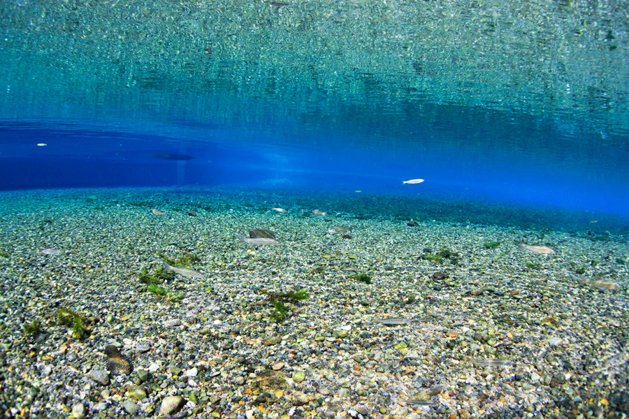 熊本湧水淡水ダイビング１９　風景