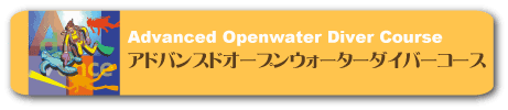 アドバンスオープンウォーターダイバーコース