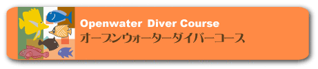 よかよかのオープンウォーターダイバーコース