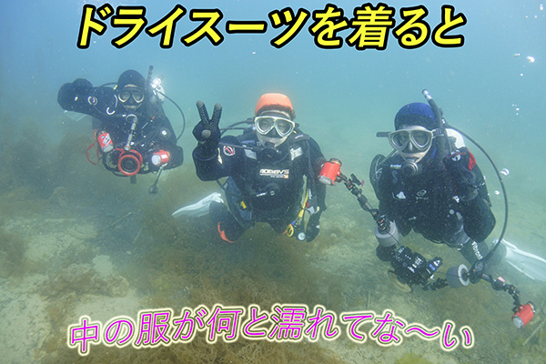 ドライスーツの選び方 - 天草よかよかダイビング 熊本牛深のウミウシガイド