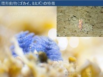 熊本県立大学　写真納品