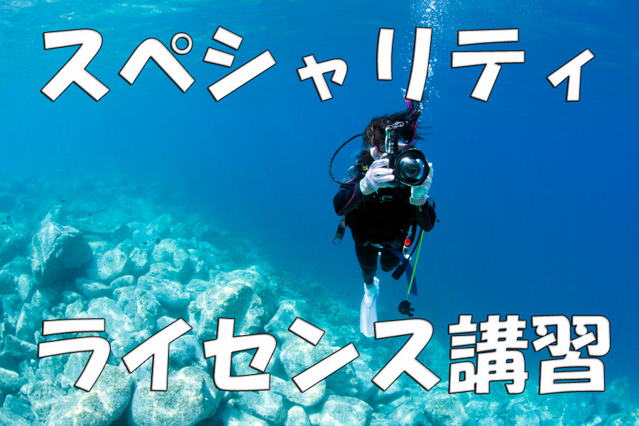 お得に楽しみながら上達とランクアップができる各種スペシャリティ講習はこちら！