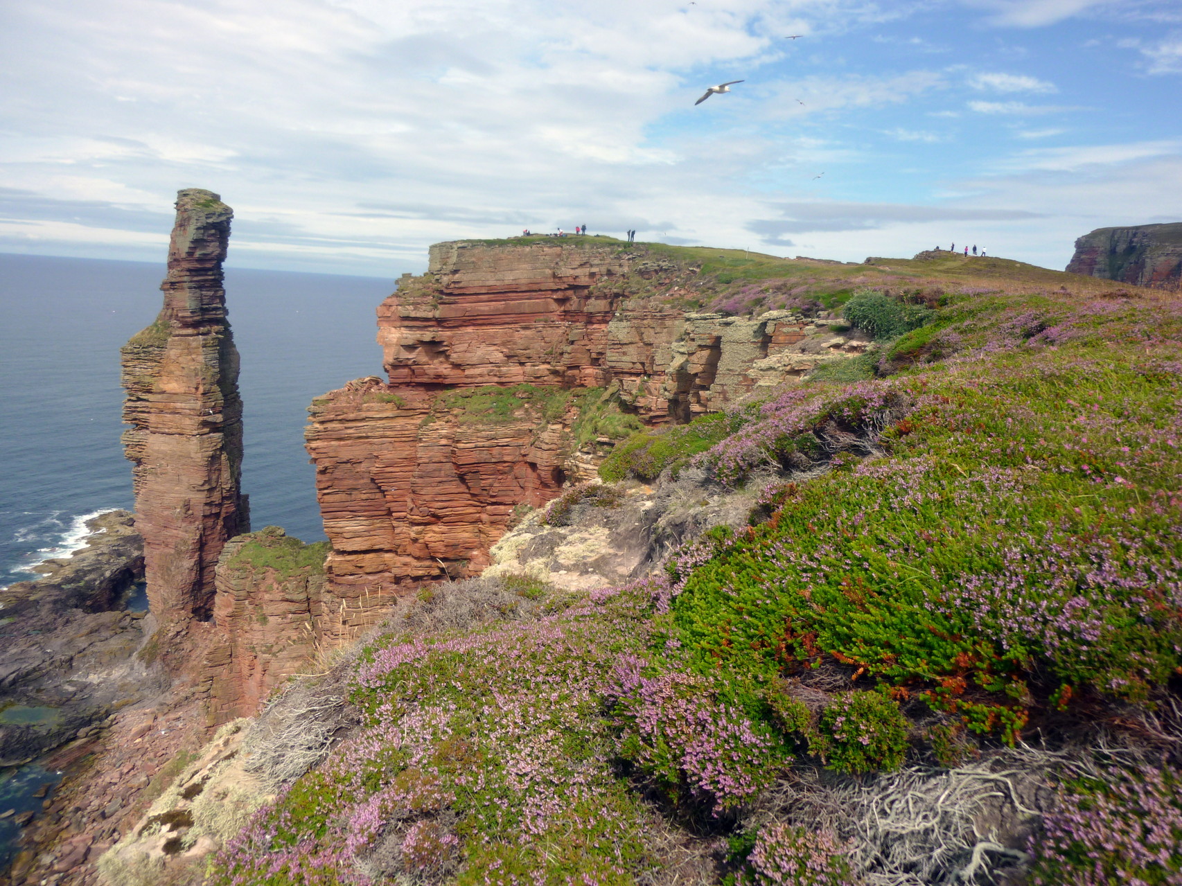 'The old man of Hoy'