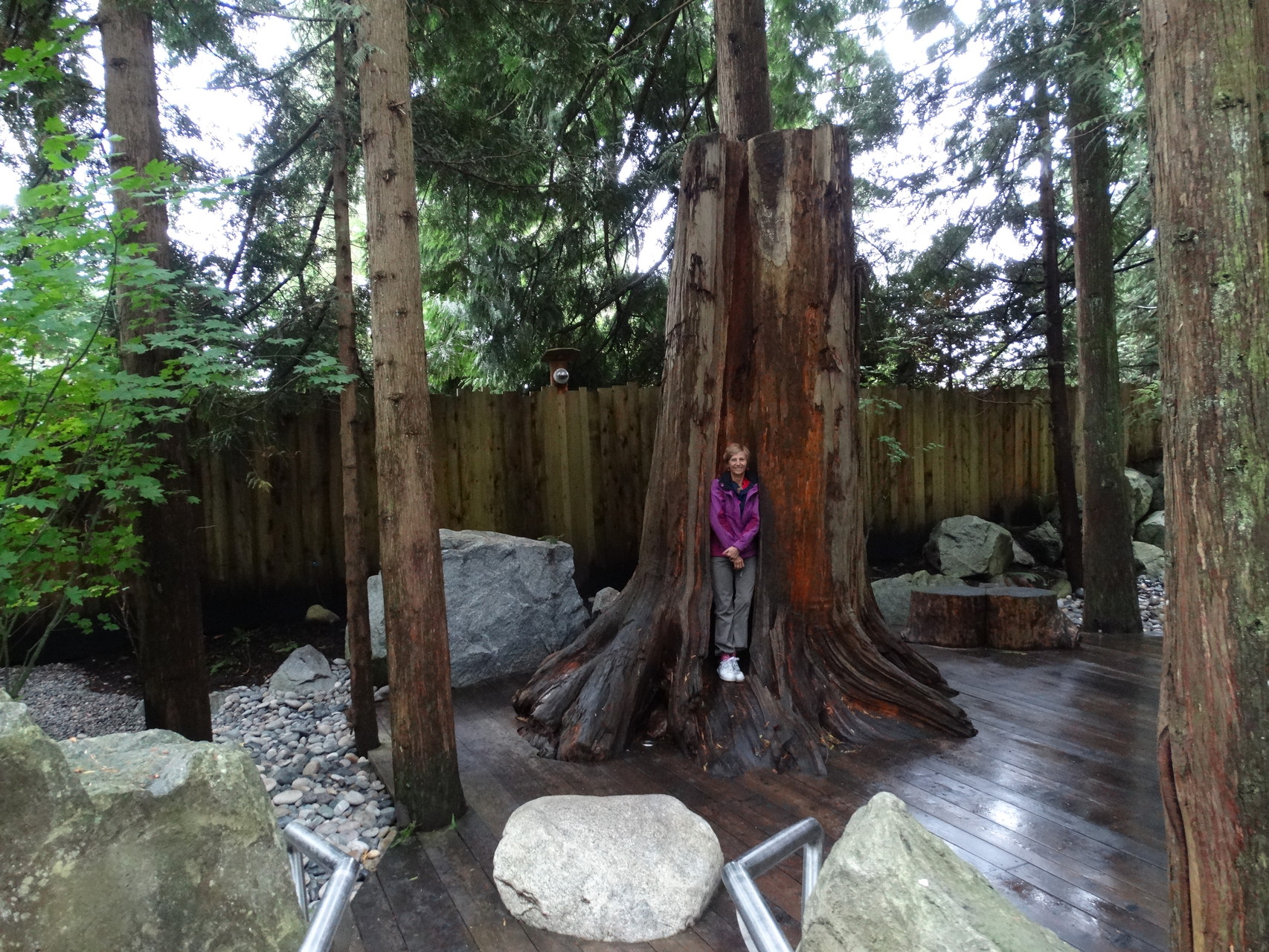 Capilano Suspension Bridge