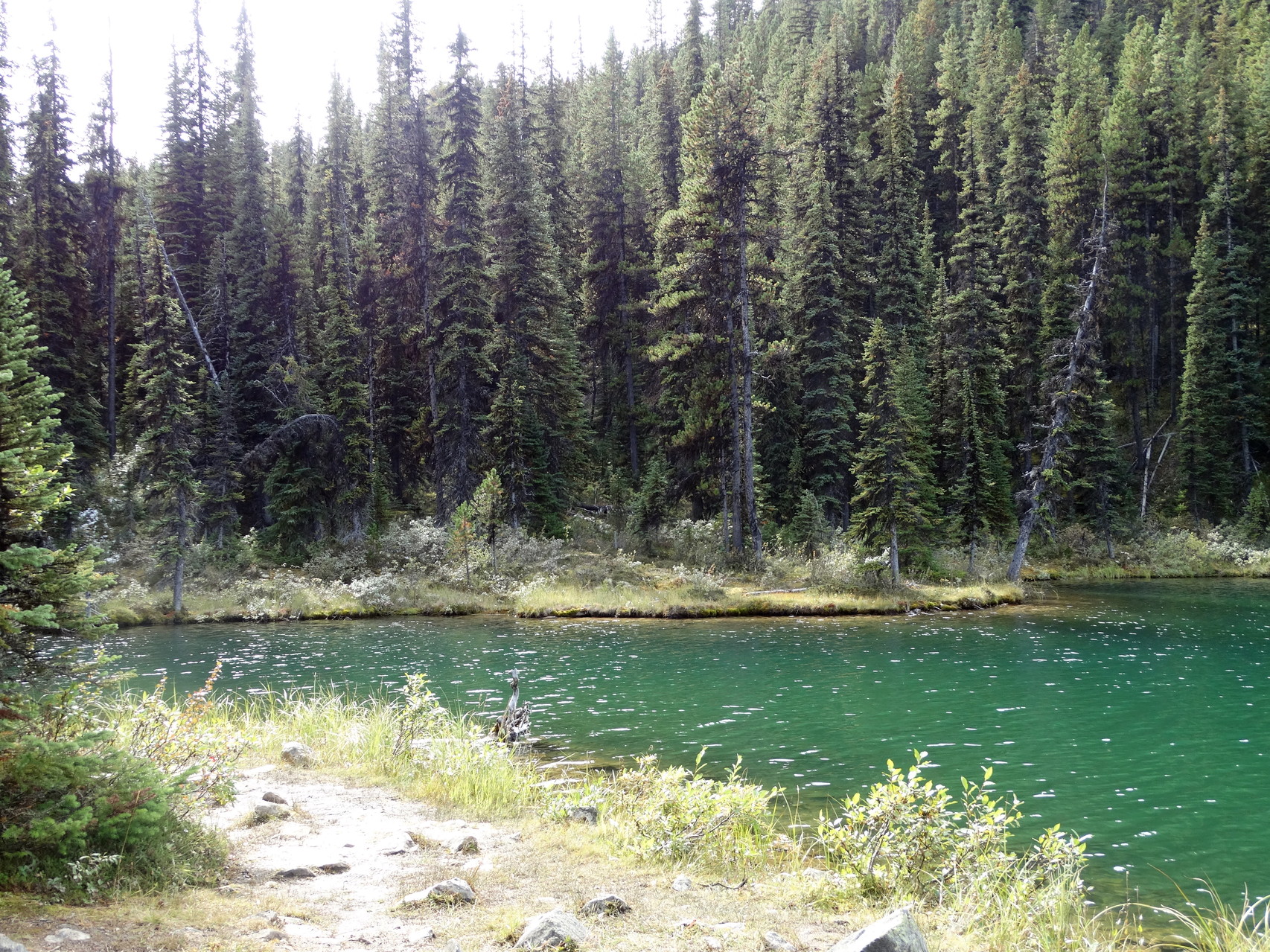 Lorraine Lake