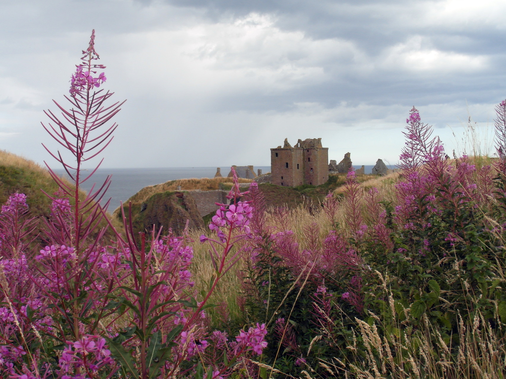 Donnottar castle