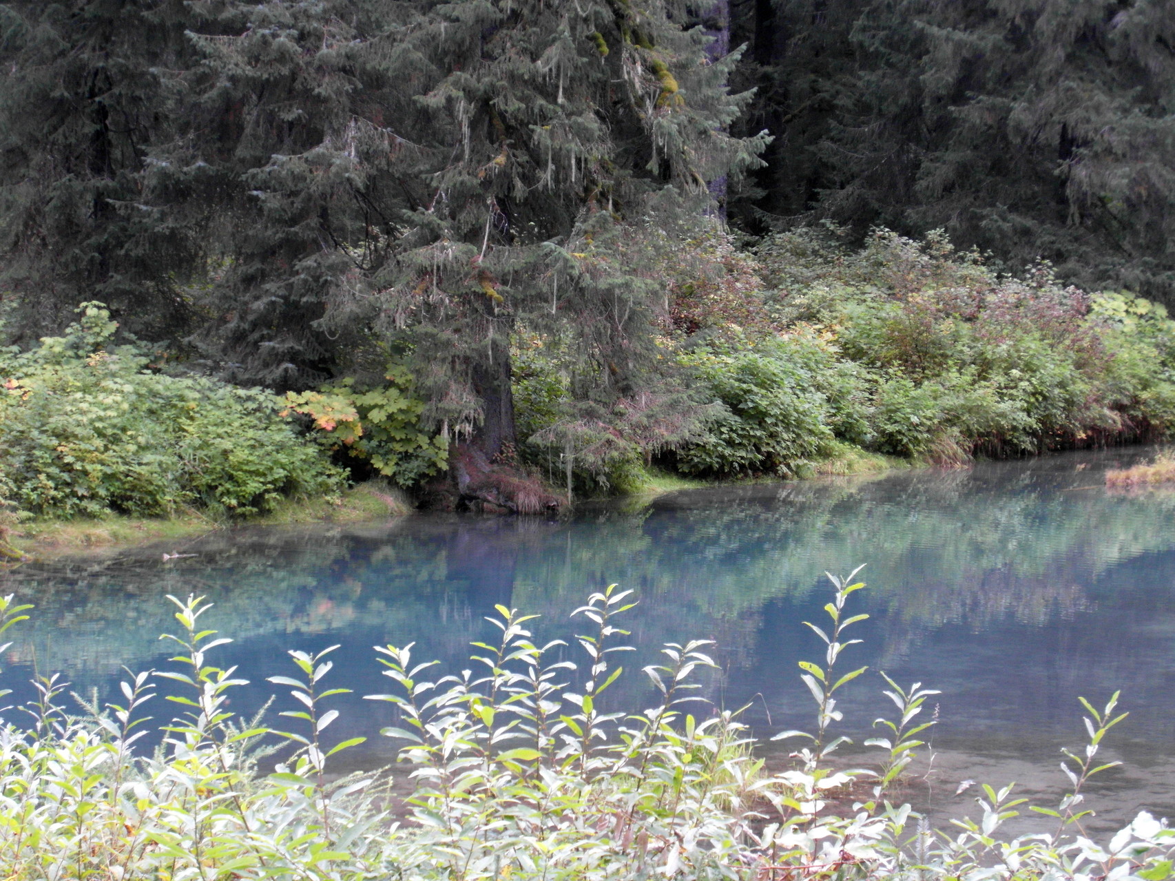 Bij Fish Creek