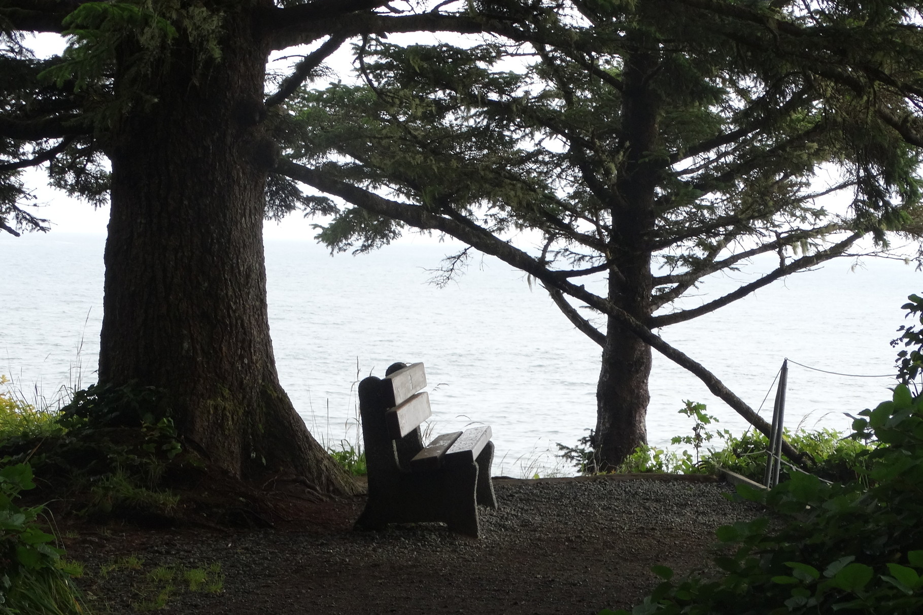 De Wild Pacific trail bij Ucluelet