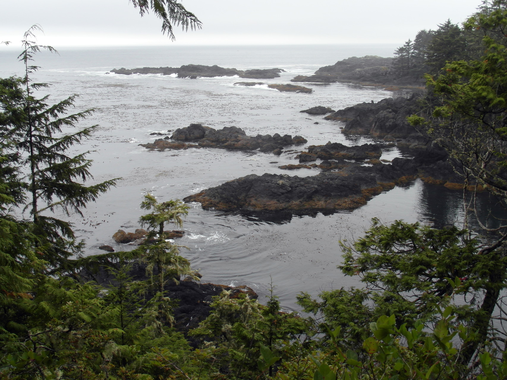 Uitzicht tijdens de Wild Pacific trail bij Ucluelet