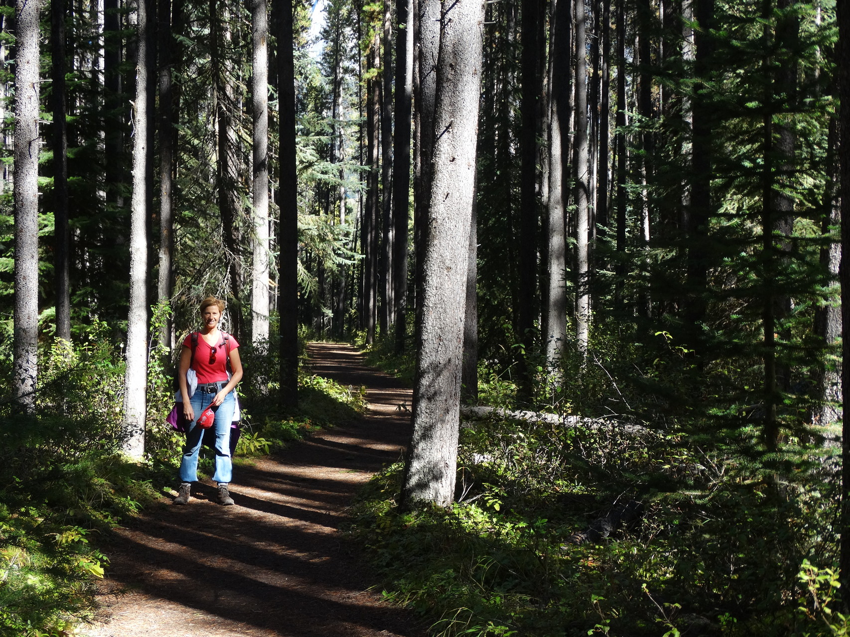 Tijdens de wandeling