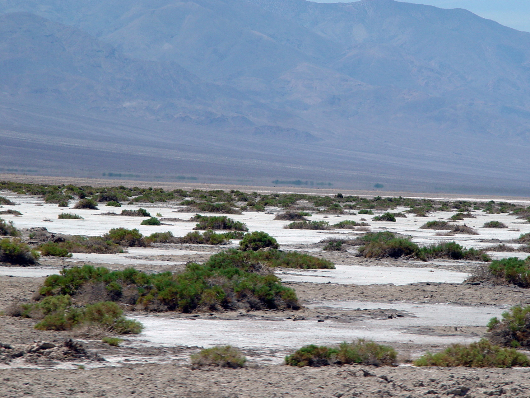 Badwater Basins