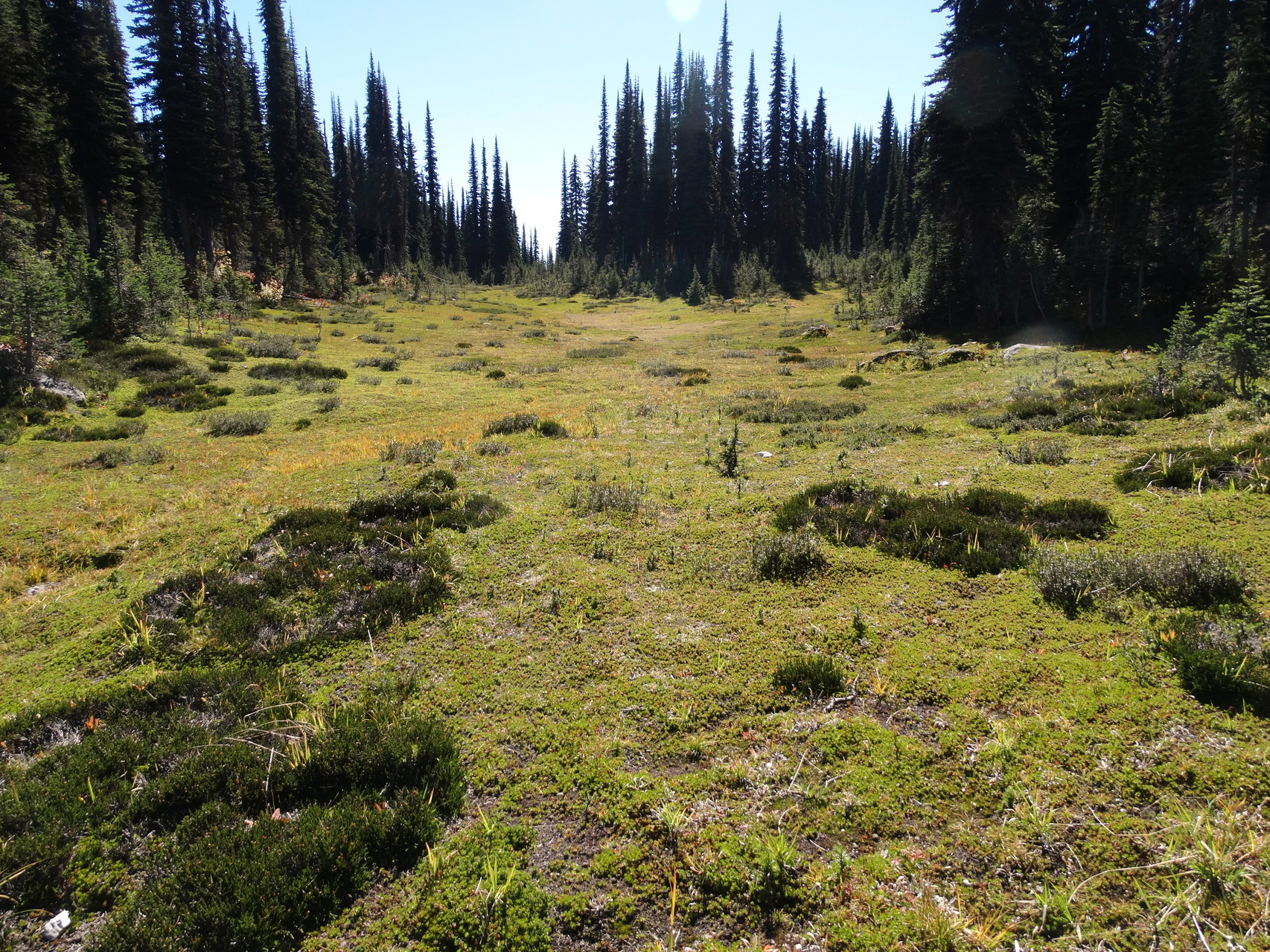 Tijdens Eagle Knoll Trail