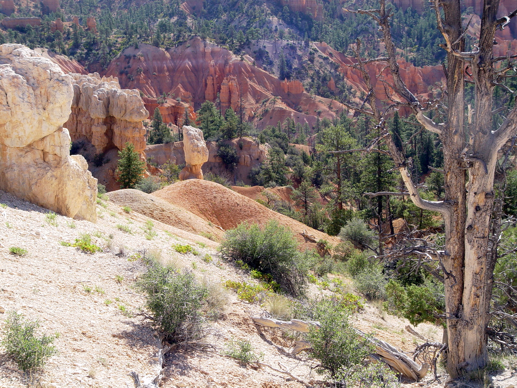 Fairyland Point