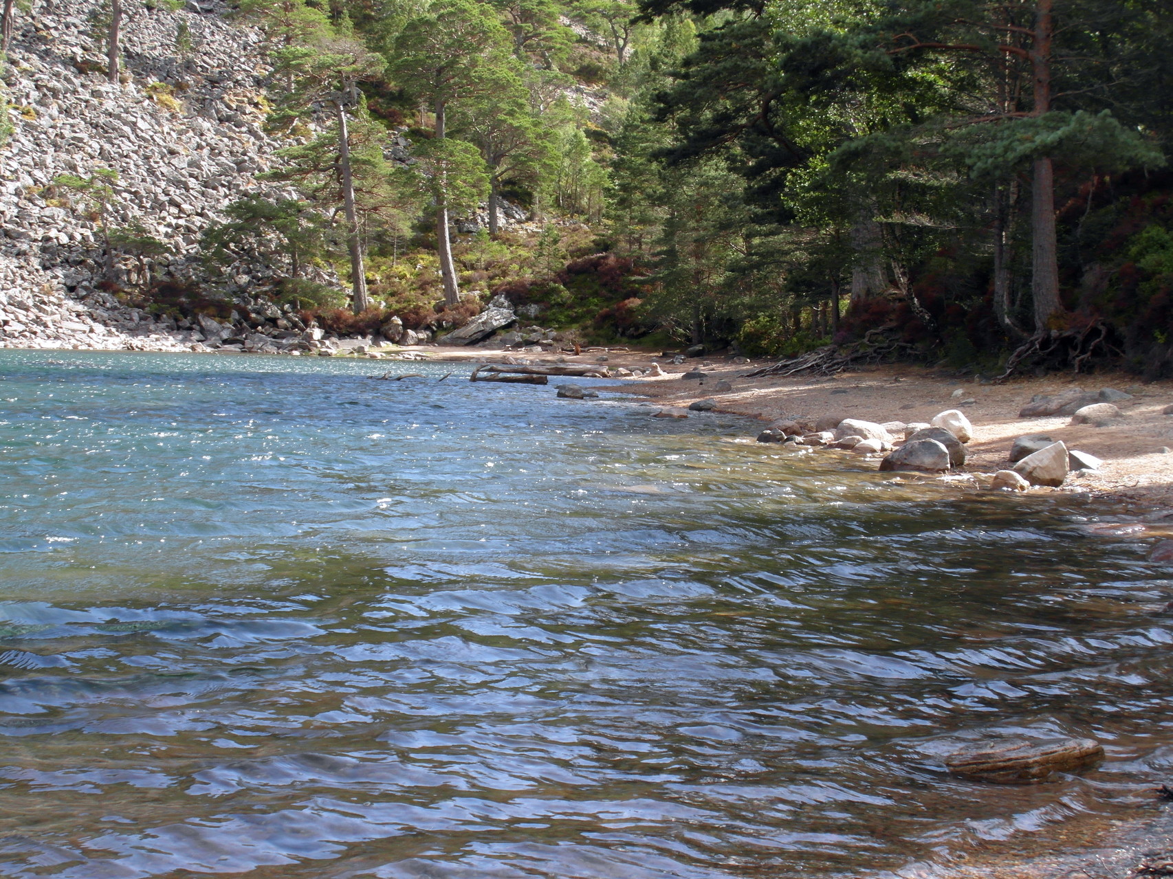 Glenmore Forest National Park