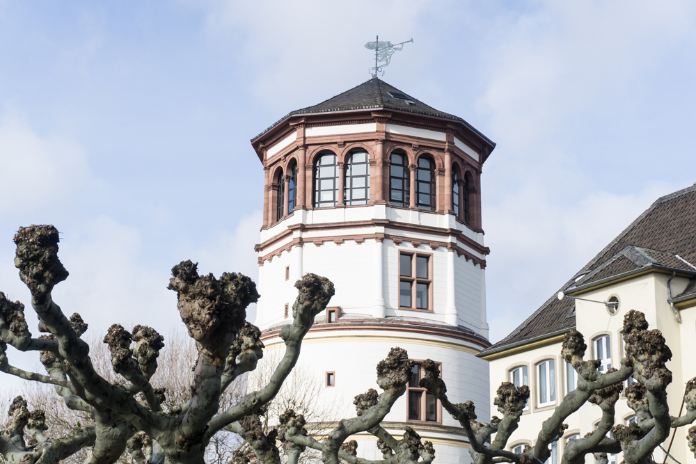 Gisela - Baumgruppe mit Schlossturm