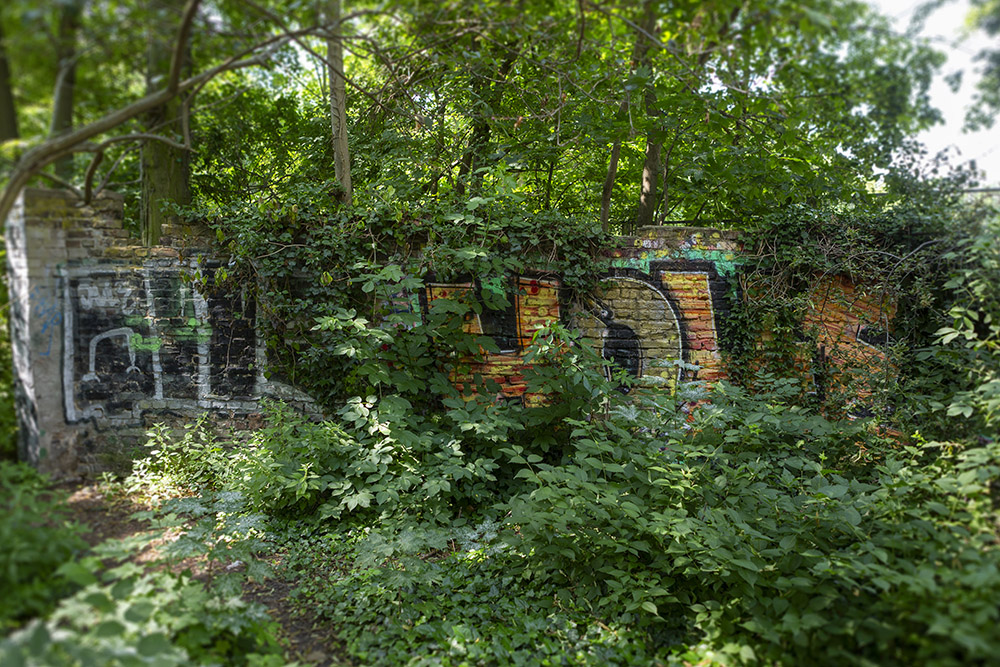 Günter - Graffiti