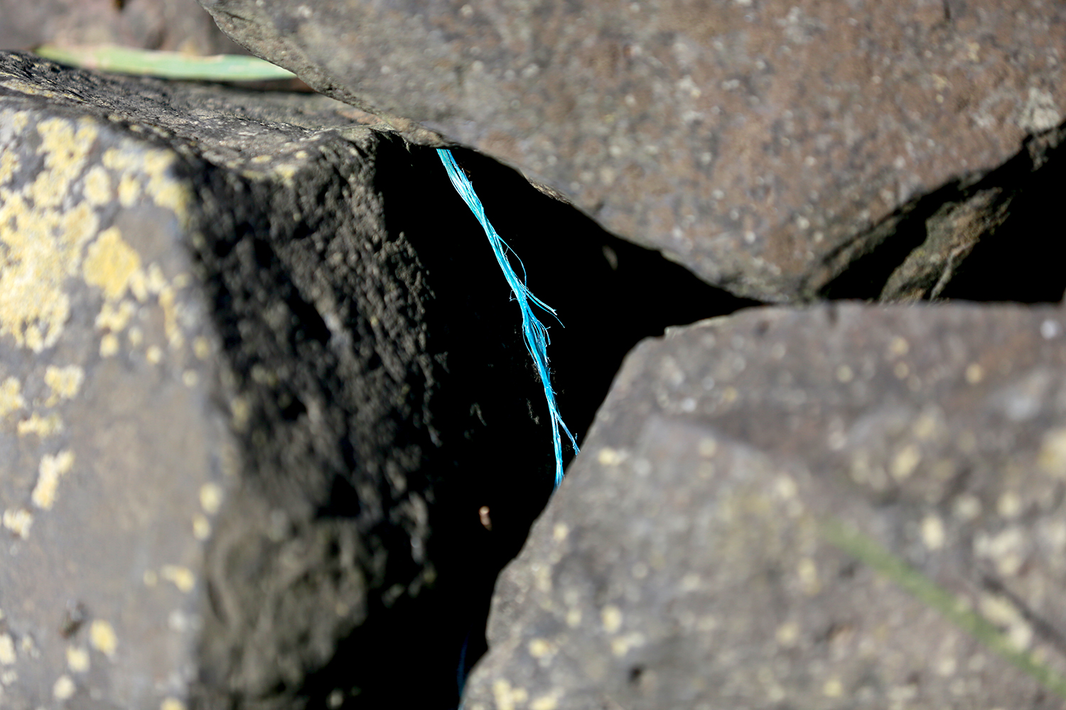 Günter - Blaues Seil