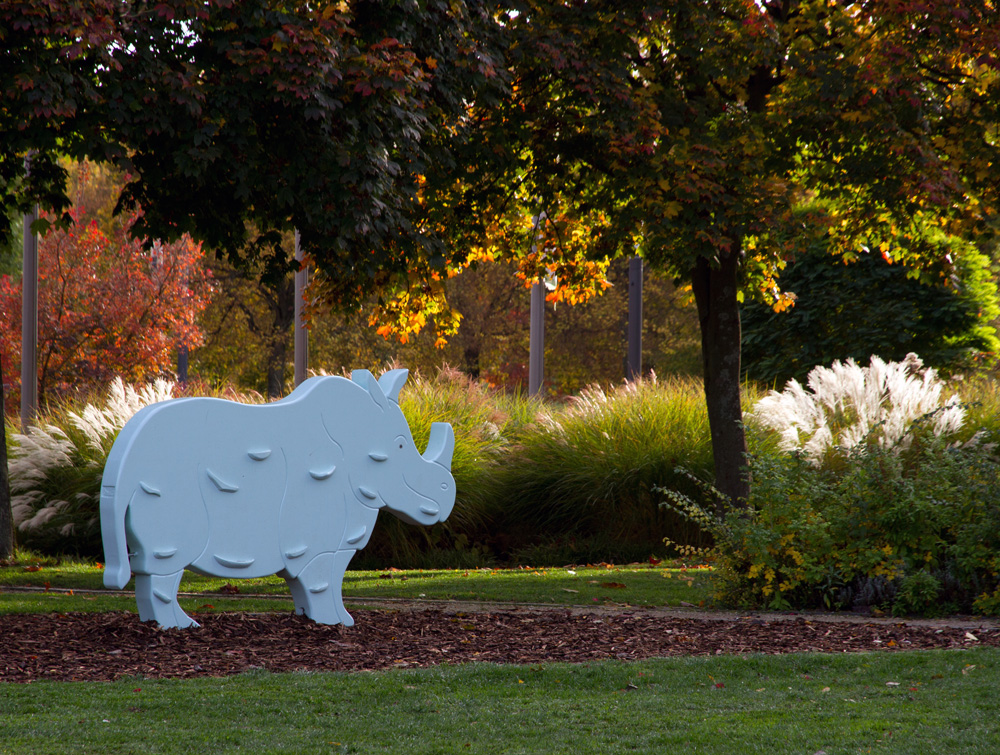 Nashorn im Park - Christiane